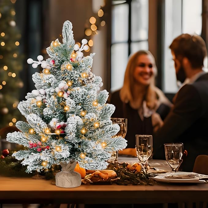 2FT Small Christmas Tree,Flocked Artificial Mini Christmas Tree with Lights,Tabletop Xmas Tree with Ornaments,Christmas Decoration for Party by DNKMOR