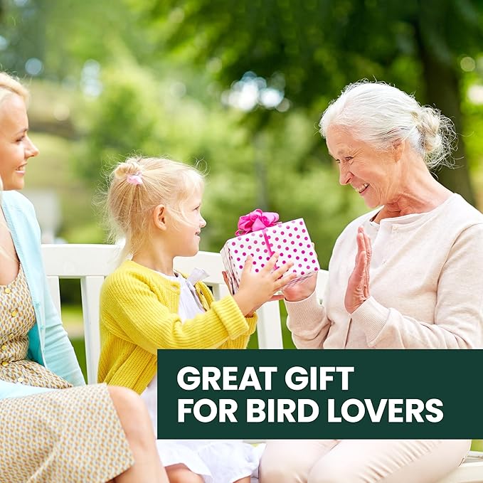 Perky-Pet Cactus Top Fill Glass Hummingbird Feeder with Built-in Bee Guards & Removable Perches - 32 oz Nectar Capacity - Hummingbird Feeder for Outdoors - 9111-1SR