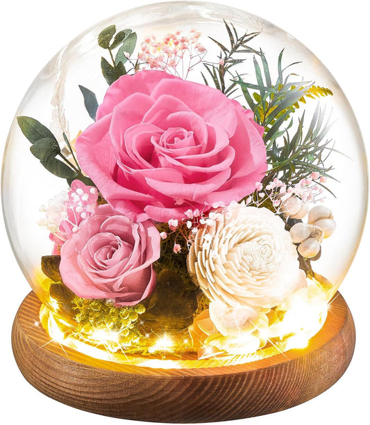 Preserved Flowers Rose Birthday Gifts for Women, Forever Flowers in Glass Ball, Long-Lasting for Mom Her Wife Grandma Anniversary Valentines (Pink)
