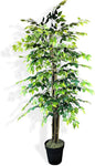 6ft Deluxe Artificial Ficus Tree in Black Plastic Pot - Real Wood Trunk, Preassembled, No Maintenance Indoor Faux Plant - Living Room, Home & Office Decor