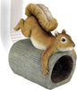 CRASH THE SQUIRREL RAIN GUTTER