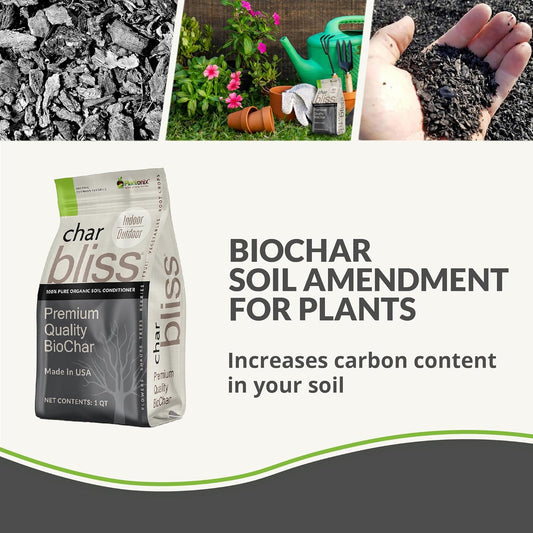 Char Bliss (1 Cubic Ft) - Organic Biochar for Plants - OMRI-Listed Biochar Soil Amendment Organic - Horticultural Charcoal for Plants, Gardening, & Potting Soil - 100% Natural and Renewable Bio Char
