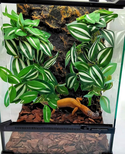 Reptile Plants for Terrarium Decor, Amphibian Habitat Decor, Snake Tank Accessories, Artificial Hanging Plants with Suction Cup-2 Packs (Zebrina Green)