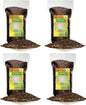 GARDENERA Premium Carambola Potting Soil Mix - Perfect Balance of Nutrients, Drainage, and Aeration for Thriving Starfruit Trees - 20 Quart