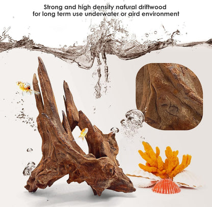 Natural Small Aquarium Driftwood for Fish Tanks & Reptile Terrariums – Safe Fish Tank Decorations, Unique Twisted Branches 10-Piece 2-4 Inch Low Tannin, Easy to Sink
