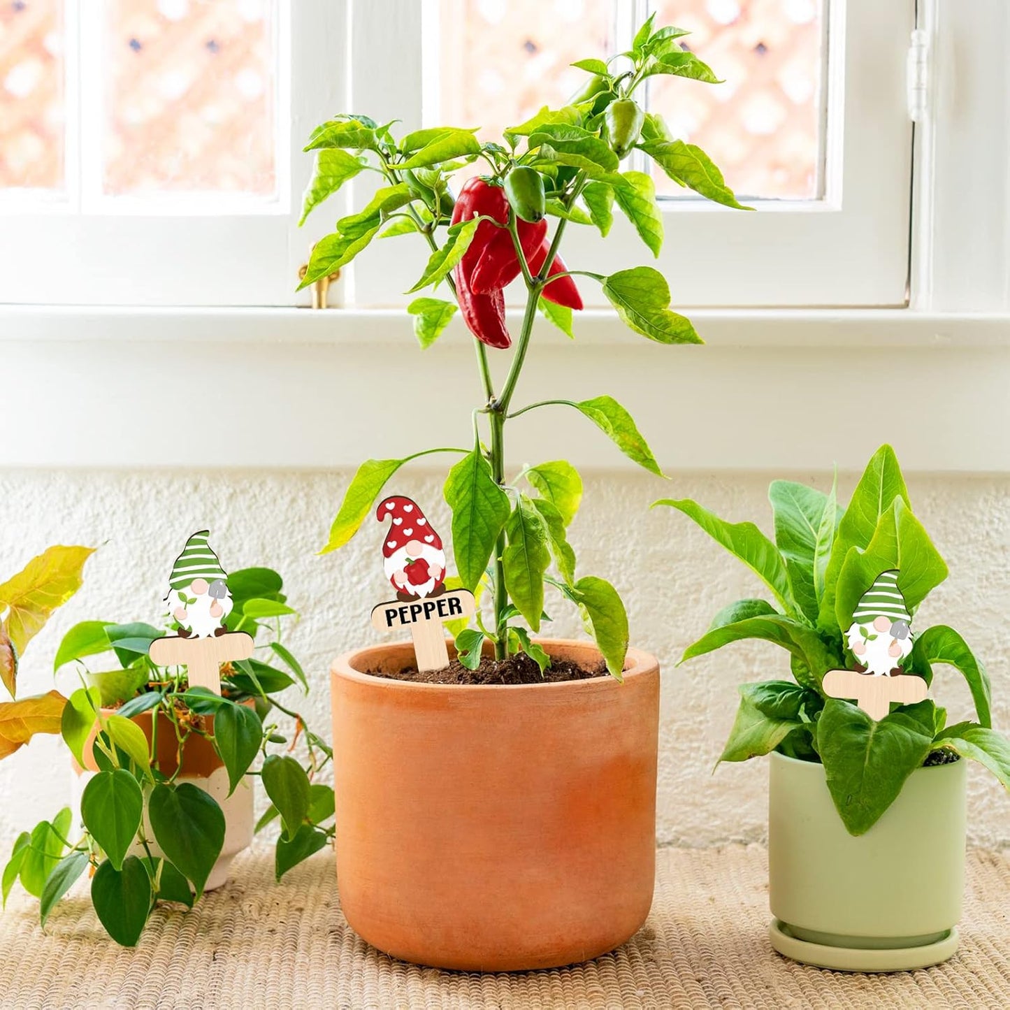 Huray Rayho Gnome Wooden Plant Markers for Vegetable Flowers Garden Potted Plants Tags 15-Pack Funny Wood Plant Labels Garden Stakes Patio Decorations Funny Gifts for Plant Lady Woman Novelty Gift