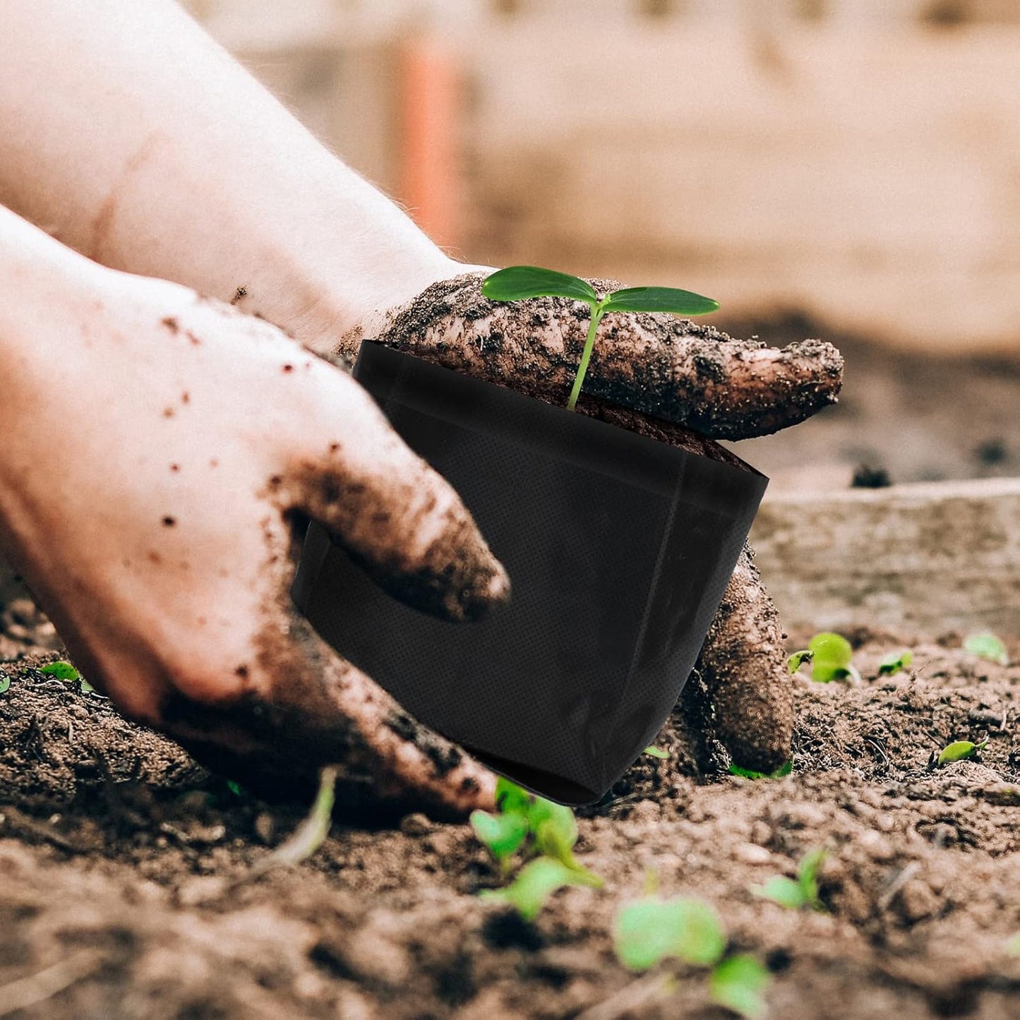 AC Infinity Nursery Bags 1 Gallon, Non-Woven Fabric Growing Pouches, 50-Pack Biodegradable Plant Pots for Seed Starting, Soil Transplant, Home Garden Supply