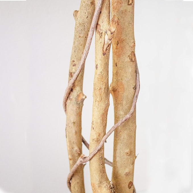 Nearly Natural 5ft Triple Trunk Artificial Ficus Tree with Natural Wood Trunks, Fake Tree for Indoor Home Décor, Faux Ficus Tree with Black Nursery Pot