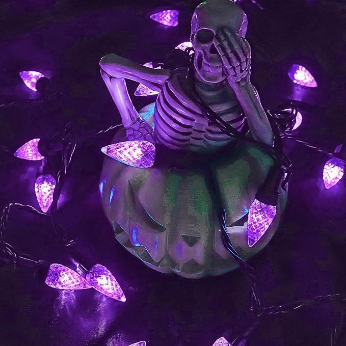 2 Pack C6 Christmas Lights Outdoor Indoor, Total 200 LED 66 FT Connectable Christmas String Lights with Timer & 13 Modes, Waterproof Twinkle Light for Xmas Tree Yards Party Wedding Decorations(Purple)