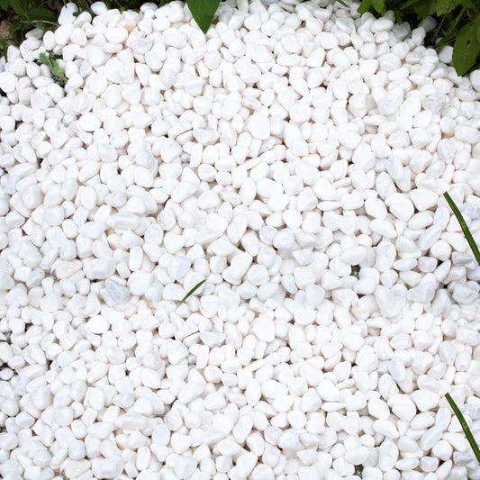 45lb White Rocks for Plants,Potting,Succulents Aquarium Fish Tank Garden Vases Decorative Pebbles Gravel Rocks Stones