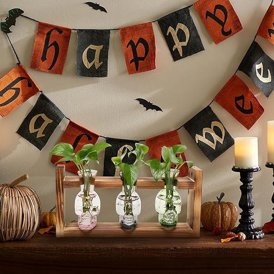 Plant Terrarium Propagation Stations Hydroponics Halloween Skull Planter Vase Skulls Decor with Wooden Stand Gife for Father