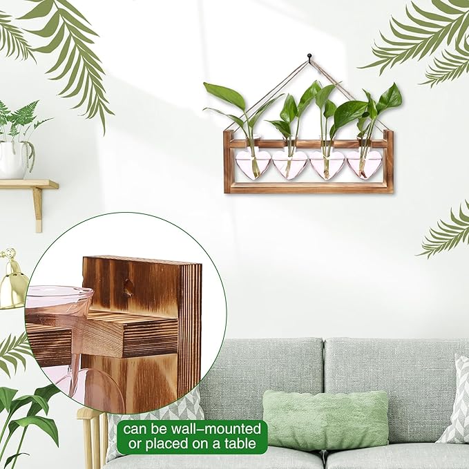 Heart Plant Terrarium Kit Gift for Women Plant Lover Glass Vases