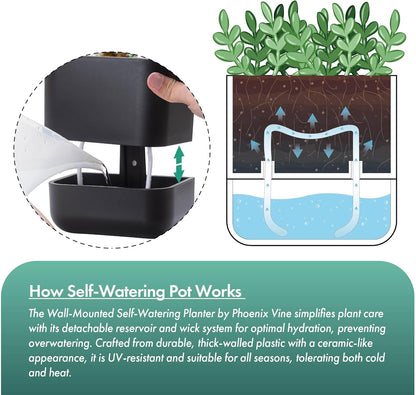 Phoenix Vine 6.5-Inch Wall Mounted Self-Watering Planter Pot for Indoor Houseplants and Herbs | Modern Hanging Planter for Window Sills, Bathroom Walls, Home & Office Décor, Black, Set of 3, 01-WP-B-3