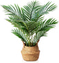 LOMANTO Fake Majesty Palm Plant 2Ft Artificial Plants for Home Decor Indoor Small Faux Trees in Pot Fake Tropical Plants for Housewarming Gift 1Pack