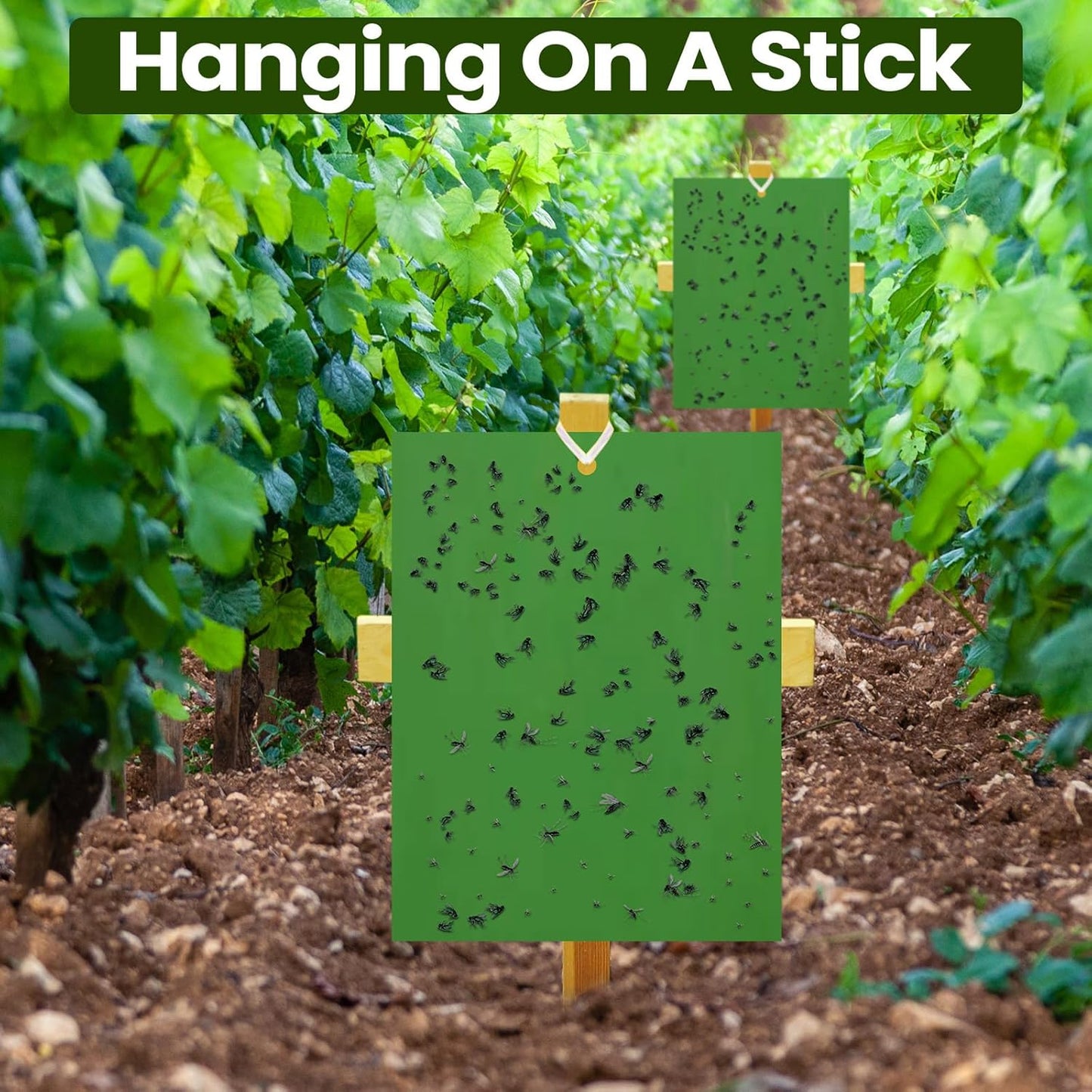 Qualirey 100 Pcs 6 x 8 Inch Sticky Traps for Plant Double Sided Sticky Trap for Gnats with Twist Ties Fly Traps for Fruit Insect Fungus Bugs Indoor Outdoor (Green)