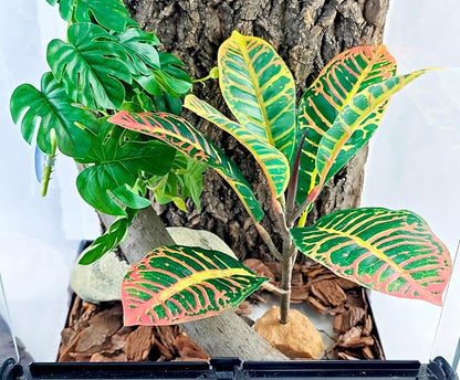 Woyrise Reptile Plants for Terrarium, 9" Fake Rubber Tree Ball Python Tank Accessories Habitat Decor fit Crested Gecko Leopard Bearded Dragon Lizard Chameleon Snake - Codiaeum variegatum