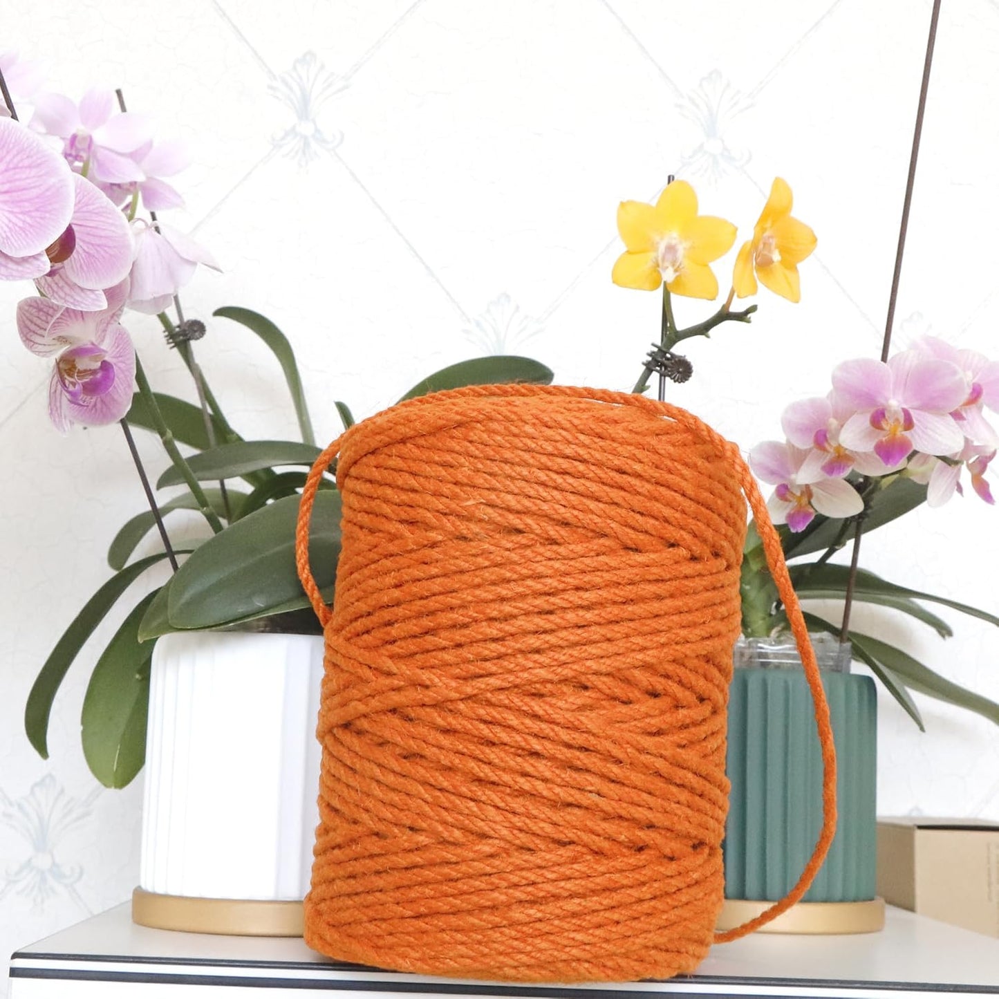 4mm x 300 Feet Orange Jute Rope, Twine for Gardening Tomato Climbing Plant Tie Floristry Crafts Gift Wrapping Packing Decor
