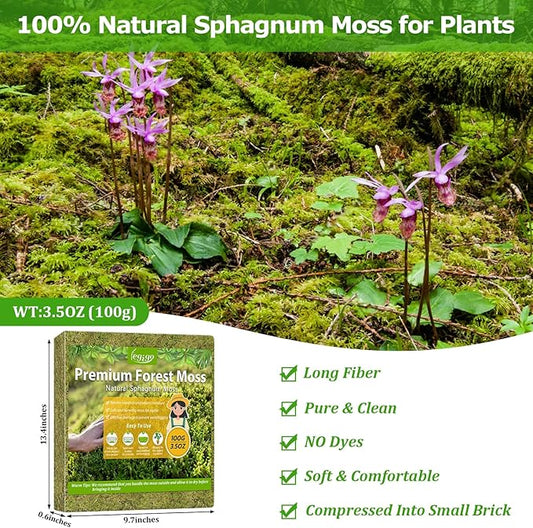 Legigo 3.5OZ Premium Forest Moss for Plants, 4QT Natural Green Sphagnum Moss for Potted Plants, Dried Orchid Moss Potting Mix, Soft Real Moss Decorative for Houseplants Orchids Succulents Reptiles
