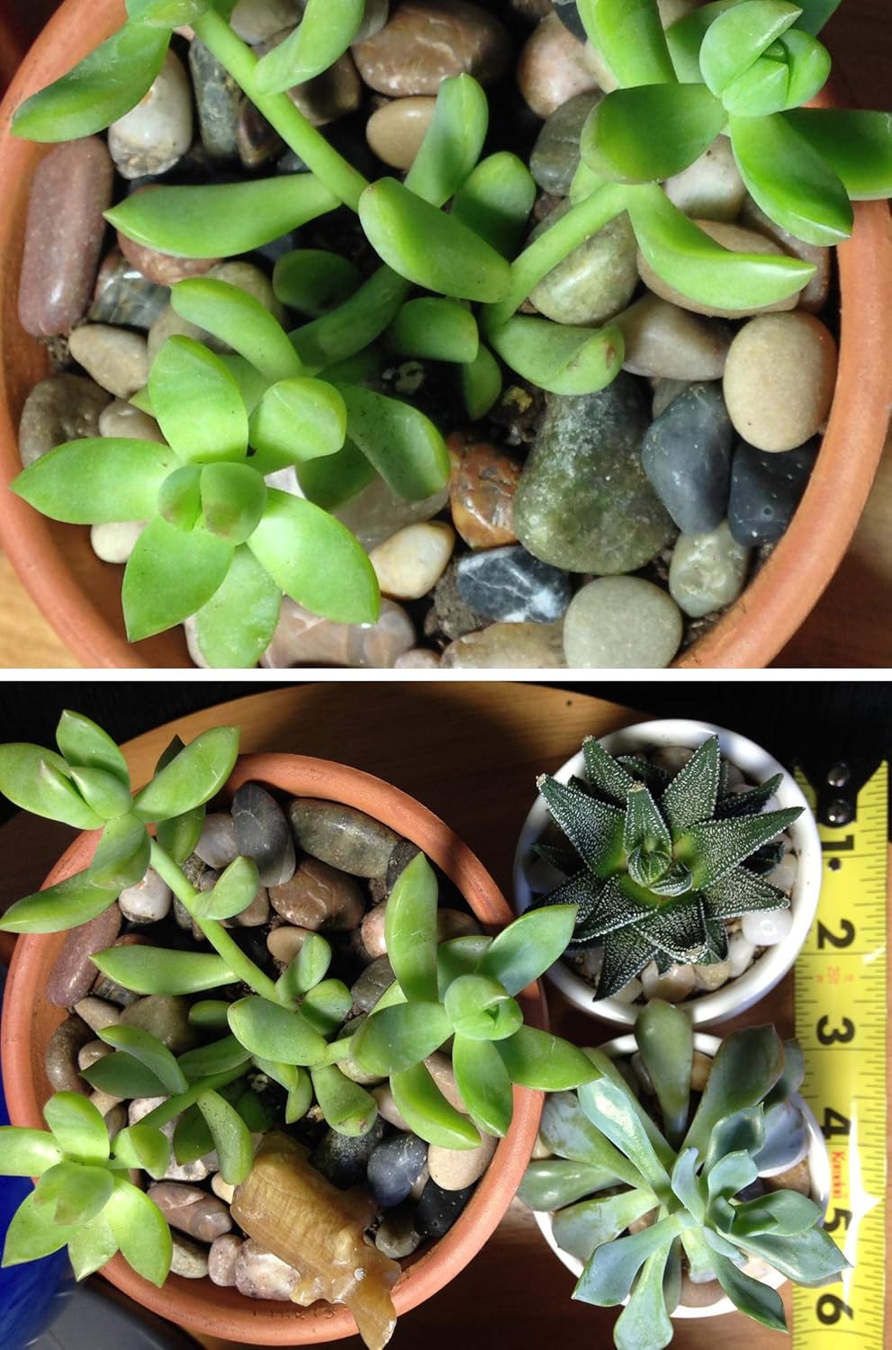 Voulosimi River Rock Stones, Natural Decorative Polished Mixed Pebbles Gravel,Outdoor Decorative Stones for Plant Aquariums, Landscaping, Vase Fillers (9 LB, Mixed Colors)