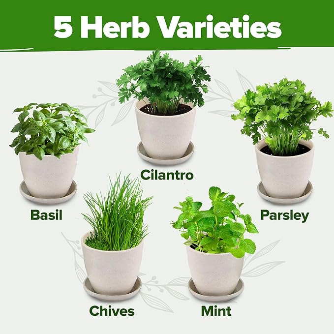 HOME GROWN Indoor Herb Garden Starter Kit – Complete 5 Herb Grow Kit with Basil, Cilantro, Mint, Parsley & Thyme – for Gardeners, Unique Christmas Gardening Gift for Mom, Women & Men