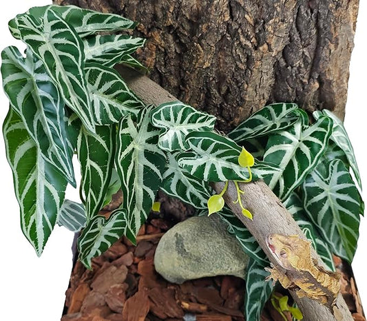 Woyrise 2 Pack Reptile Plants, Terrarium Hanging Plant Vines, Artificial Leaves with Suction Cup, Bearded Dragon Tank Accessories for Gecko Lizard Snake Frog Tortoise Decorations - Alocasia Velvet