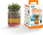 Back to the Roots Terrarium Grow Kit - Easy-to-Use DIY Set for All Ages Small