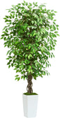 Artificial Ficus Tree 5FT Faux Plants Indoor Tall Fake Plants with White Tall Planter, Green Lifelike Lush Fake Ficus Tree for Home Living Room Bedroom Outdoor Balcony House Office Decor