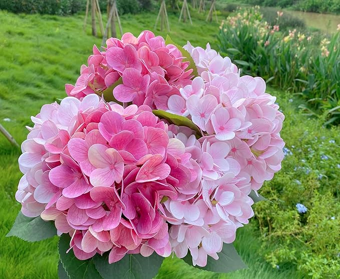 6PCS 23 inch Mix Pink Hydrangea Artificial Flowers，Real Touch Hydrangea Large，Fake Soft Hydrangeas with Leaves Stems - Mix Pink