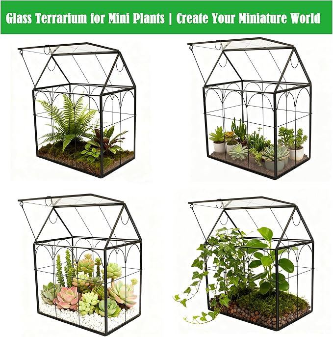 ELEGANTLIFE Glass Geometric Plant Terrarium,Succulent & Air Planter for Home Garden Office Decoration (Black House)