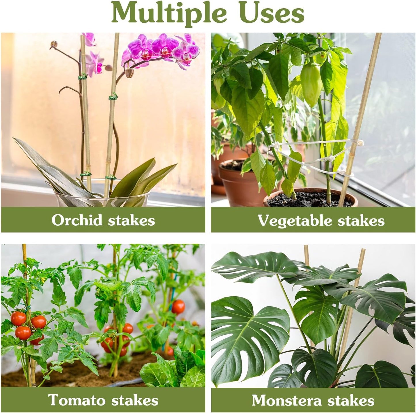 Plant Stakes 16inch, 20Pcs Natural Bamboo Sticks Garden Stakes, HAINANSTRY Plant Support Stakes for Indoor & Outdoor Plants, Orchid Tomato Vegetable Stakes for Garden