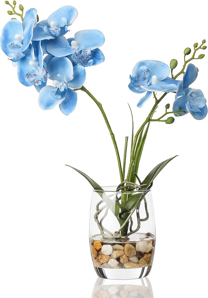 Jusdreen Artificial Blue Orchid in Glass Vase, Realistic Phalaenopsis Arrangement with Potting for Home Office Table Decor, 14.5 Inch Flower Centerpiece