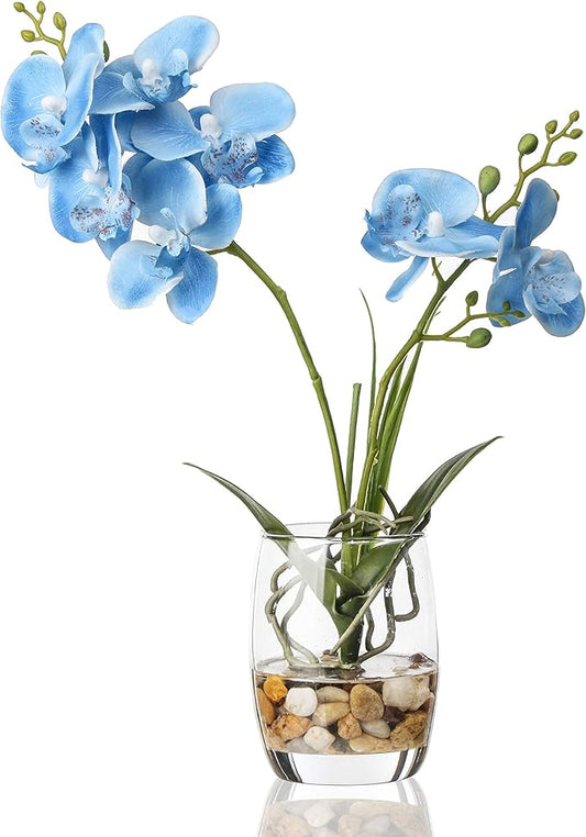 Jusdreen Artificial Blue Orchid in Glass Vase, Realistic Phalaenopsis Arrangement with Potting for Home Office Table Decor, 14.5 Inch Flower Centerpiece