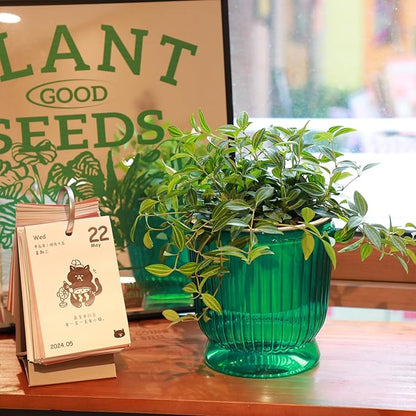 T4U 6 Inch Self Watering Pots for Indoor Plants, 4 Pack Self Watering Planter, Self Watering Pot with Reservoir, Small Self Watering Pots for Plants, African Violets (4 Pack, 6", Translucent Green)