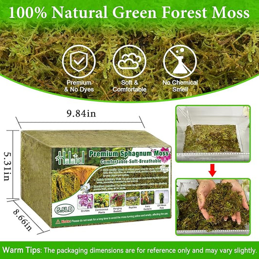 Halatool 5.5LB Green Forest Moss Natural Sphagnum Moss for Plants Fluffy Orchid Moss for Orchids Repotting Dried Plant Moss for Potted Plants Indoor & Outdoor