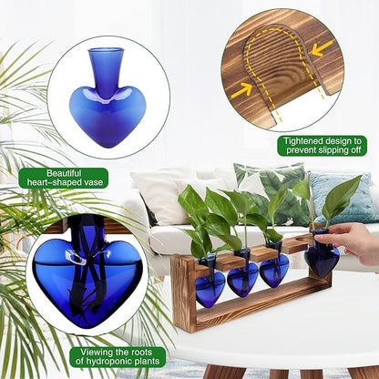 Heart Plant Terrarium Kit Gift for Women Plant Lover Glass Vases