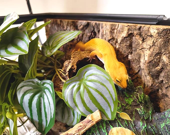 Woyrise Reptile Plants for Terrarium Decor, Ball Python Tank Accessories fit Bearded Dragon Crested Leopard Gecko Lizard Chameleon Snake Frog Tortoise Hermit Crab - Fake Calathea Orbifolia