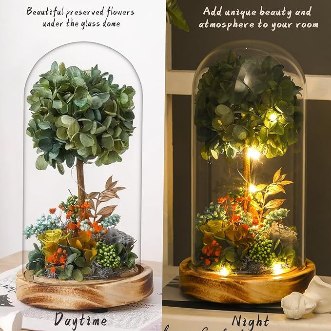 Preserved Flower Glass Dome with LED Lights, Handmade Hydrangea Tree and Eternal Rose Arrangement on Wood Base, for All Festivals,for You to Send Love for All Occasions(Dark Green)