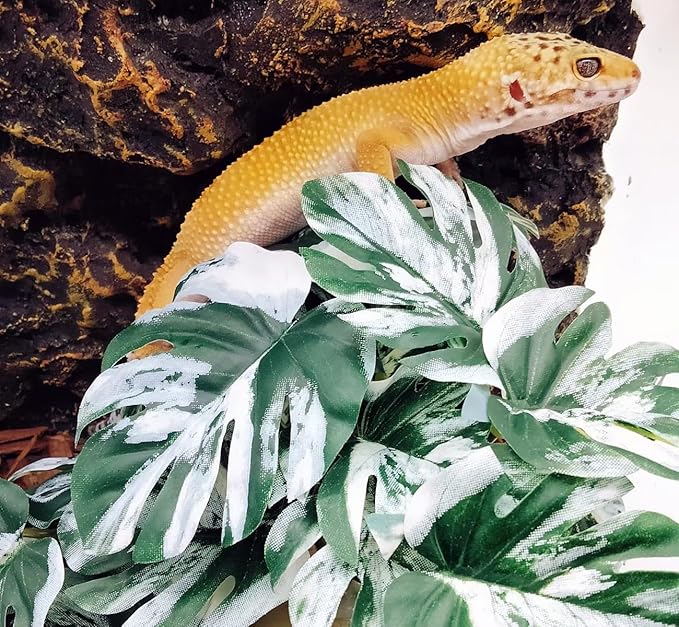 Reptile Fake Plants for Terrarium Artificial Tank Decor Accessories Suitable for Bearded Dragon Ball Python Crested Leopard Gecko Lizard Chameleon Snake-Monstera