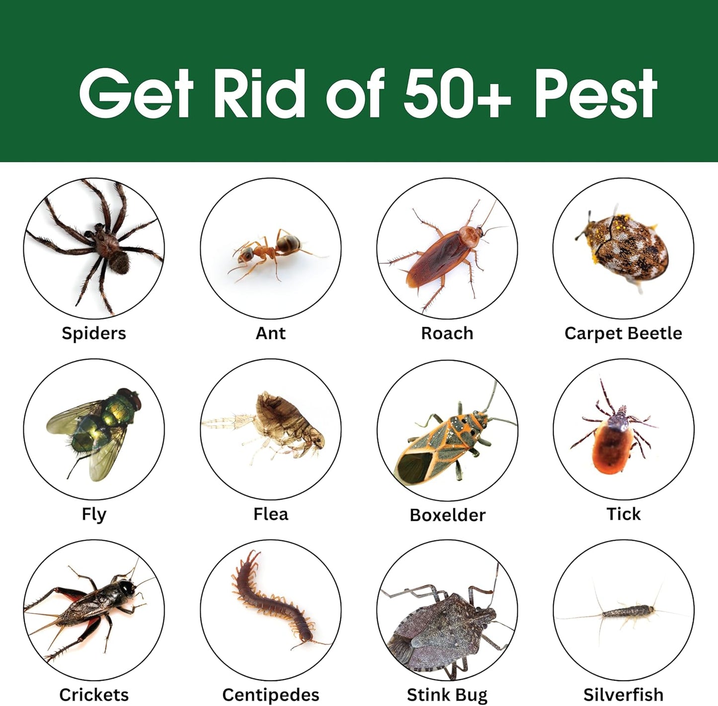 Insect & Pest Control Spray – Natural Essential - Bug Killer & Insect Repellent, Kills Ant, Spiders, Carpet Beetles, Roaches, Flies- Safe for Pets & Family, Indoor & Outdoor Use 16OZ