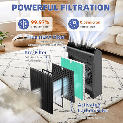 5510 5520 HEPA Toxin Absorbe Air Purifier Filter Q Replacement for Winix 5510 5520 Plasmawave Air Purifier H13 True HEPA Carbon Filter,# 1712-0123-00,1 Combon Set