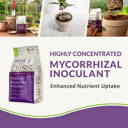 Myco Bliss Granular (200 g) - Mycorrhizal Fungi for Plants - 5 Strain Mycorrhizal Inoculant with 1000 Propagules Per Gram - Highly Concentrated Mycorrhizae for Plants, Potting Soil, & Garden Soil