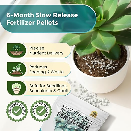Leaves and Soul Succulent Fertilizer Pellets |13-11-11 Slow Release Pellets for All Cactus and Succulents | Multi-Purpose Blend & Gardening Supplies, No Fillers | 5.2 oz Resealable Packaging