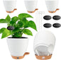 6 Inch Self Watering Pots for Indoor Plants (5-Pack) – Small Plastic Planters with Water Window, Drainage Holes & Trays, Indoor Outdoor Flower Pots for Herbs, Succulents, Home Garden Decor (White)