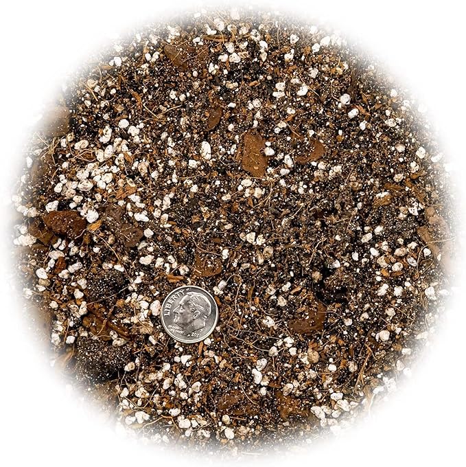 Gardenera Fiddle Leaf Fig House Plant Soil Premium All Purpose Blend - Peat Moss, New Zealand Bark, Coco Chips and Fibers, Perlite - 1 Quart Bag