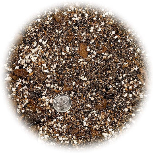 Gardenera Fiddle Leaf Fig House Plant Soil Premium All Purpose Blend - Peat Moss, New Zealand Bark, Coco Chips and Fibers, Perlite - 1 Quart Bag