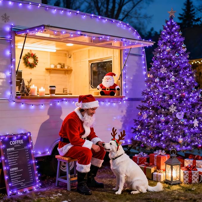 JMEXSUSS 500 LED Purple Christmas Lights, 173ft 8 Modes Christmas String Lights Outdoor Waterproof, Green Wire Purple LED Light for Indoor Party House Xmas Decorations