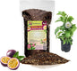 GARDENERA Premium Passion Fruit Potting Soil Mix - Perfect Balance of Nutrients, Drainage, and Aeration for Thriving Passion Fruit Vines - 4 Quart
