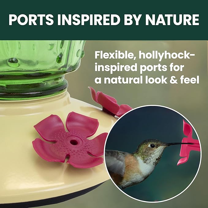 Perky-Pet Cactus Top Fill Glass Hummingbird Feeder with Built-in Bee Guards & Removable Perches - 32 oz Nectar Capacity - Hummingbird Feeder for Outdoors - 9111-1SR