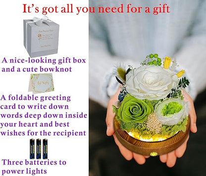 Valley of Rain & Forest Long-Lasting Real Flowers, Unique Floral Gift For you to send Love for All Occasions, for Indoor Decoration (White & Green Roses Arrangement)