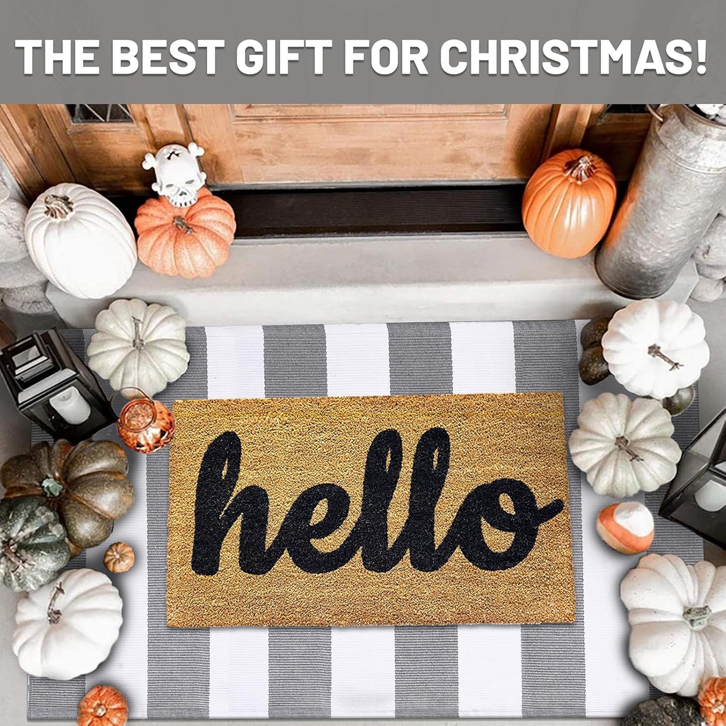 IOHOUZE Grey White Striped Rug -27.5" X 43" Front Door Mats Outdoor,Washable Rug for Front Porch Decor,Spring Summer Welcome Mats Outdoor Indoor, Doormat for Farmhouse/Entryway/Home Entrance